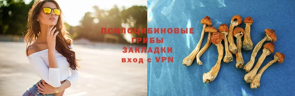 амф Бородино