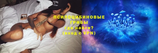 эйфоретик Верея