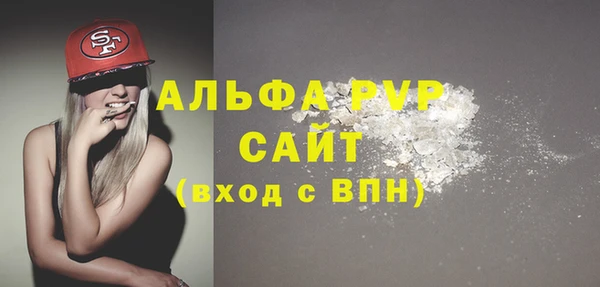 амф Бородино