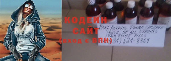 амф Бородино