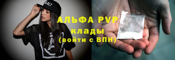 амф Бородино